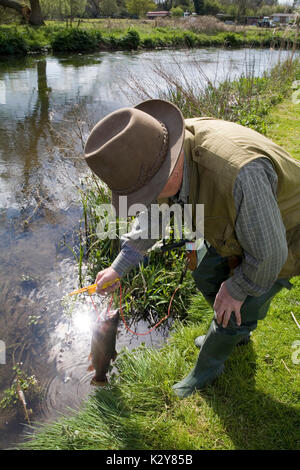 Fliegenfischen obere Chalke Fluss Stockfoto