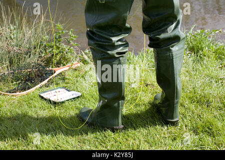 Fliegenfischen obere Chalke Fluss Stockfoto