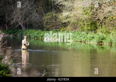 Fliegenfischen obere Chalke Fluss Stockfoto