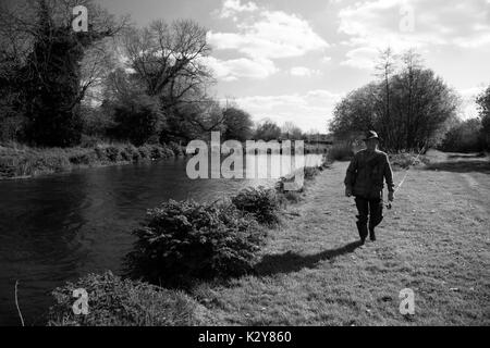 Fliegenfischen obere Chalke Fluss Stockfoto