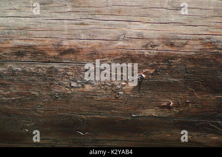 Holz Textur oder Hintergrund, horizontale Ansicht Stockfoto