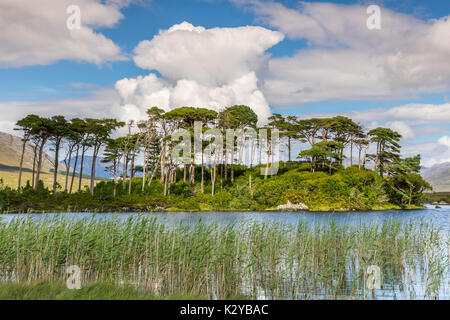 Derryclare Lough ist ein Süßwassersee im Westen Irlands. Es ist in der Gegend von Connemara County Galway gelegen. Derryclare Lough ist über entfernt Stockfoto