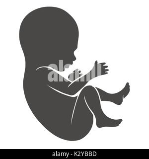 Menschliche Fetus oder Neugeborenen und ungeborenes Baby Silhouette auf weißem Hintergrund. Vector Illustration Stock Vektor