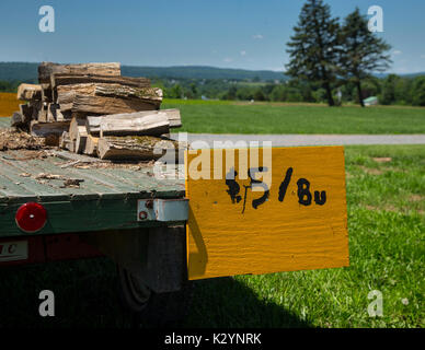 Brennholz zum Verkauf auf einem Anhänger Stockfoto