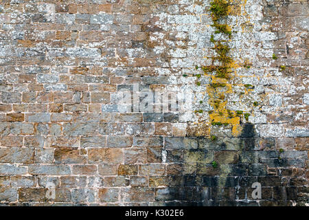 Stein Wand Textur mit Zerfall von langfristig Wasser und Moos wächst Stockfoto