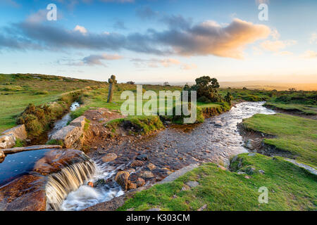 Sanften Abendlicht am windigen Post eine antike Granit Kreuz mit Blick auf eine Gewaehrleistung auf Dartmoor Nationalpark in Devon Stockfoto