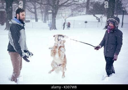 Ein Hund springt einen Schneeball in den Mund zu verfangen, wie seine Besitzer auf beiden Seiten mit ihm spielen im Schnee stehen, während einer Snow Day an der Johns Hopkins University, Baltimore, Maryland, 2016. Stockfoto