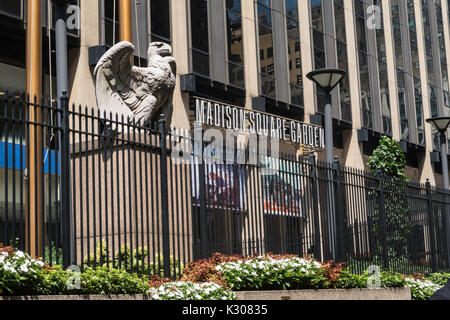 Eagle Skulptur ziert den Eingang von Madison Square Garden, New York, USA Stockfoto