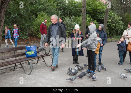 Füttern Tauben, St Stephens Green, Dublin, Irland Stockfoto