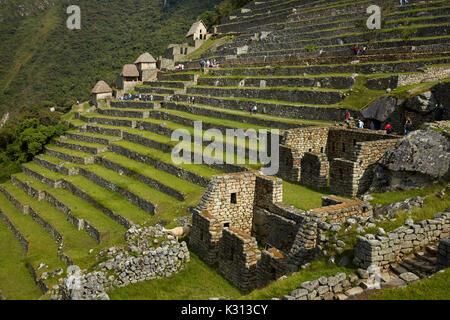 Touristen auf landwirtschaftlichen Terrassen, Machu Picchu (Weltkulturerbe), das Heilige Tal, Peru, Südamerika Stockfoto