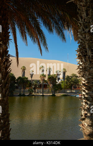Palmen, Huacachina Oasis und Dünen, in der Nähe von Ica, Peru, Südamerika Stockfoto