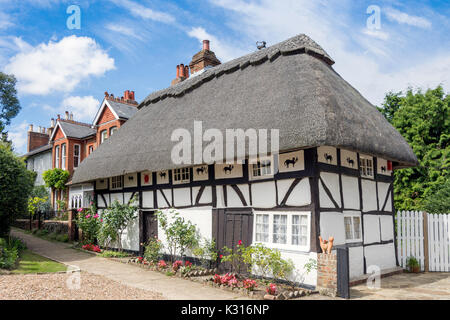 Fachwerkhaus aus dem 16. Jahrhundert "das Katzenhaus", Kirche Terrasse, Montgomery, West Sussex, England, Vereinigtes Königreich Stockfoto