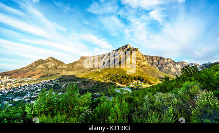 Blick auf den Tafelberg, Devils Peak und die zwölf Apostel aus dem Wanderweg auf den Gipfel des Lions Head Mountain in der Nähe von Kapstadt Südafrika auf einem n Stockfoto