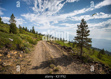 Der Gleitschirm fliegt in der Nähe der Whaleback Start im nördlichen Kalifornien in der Nähe von Mount Shasta Stockfoto