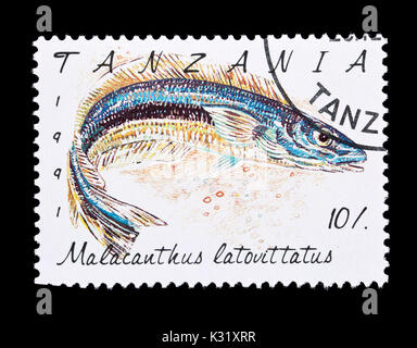 Briefmarke aus Tansania mit der Darstellung eines Blue blanquillo (Malacanthus latovittatus), Stockfoto