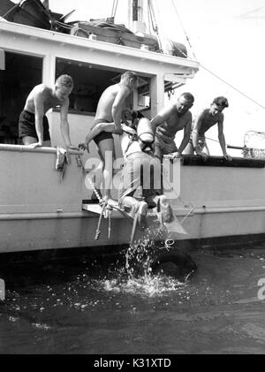 Vier Wissenschaftler in Badehose über den Rand des Bootes bis ein Taucher aus dem Wasser an einem hellen Sommertag zu helfen, lehnend, an Bord der Maury Forschungsschiff für die Chesapeake Bay Institut, 1952. Stockfoto