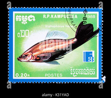 Briefmarke aus Kambodscha (kamputschea), eine grüne swordtail (Xiphophorus helleri) Stockfoto