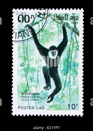 Briefmarke aus Laos mit der Darstellung eines Schwarzen crested Gibbon (Hylobates concolor) Stockfoto