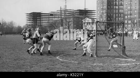 Sepia Ton Aktion Foto während einen Men's lacrosse Match an der Johns Hopkins University, als Spieler aus gegnerischen Teams das Ziel, Menge und für den Besitz der Kugel, Baltimore, Maryland, Juni, 1951 konkurrieren. Stockfoto