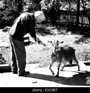 Ehrliches Porträt der amerikanische Philosoph, Psychologe und pädagogischen Reformator John Dewey außerhalb stehend auf einem Pfad Fütterung eine Ziege, 1946. Stockfoto