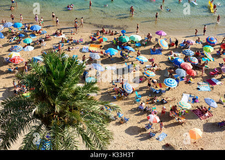 Torrevieja, Spanien - 10. Juli 2017: Küste von Playa del Cura in Torrevieja Stadt im Sommer. Costa Blanca. Spanien Stockfoto