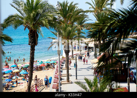 Torrevieja, Spanien - 10. Juli 2017: Promenade in der Nähe des Playa del Cura in Torrevieja Stadt im Sommer. Costa Blanca. Spanien Stockfoto