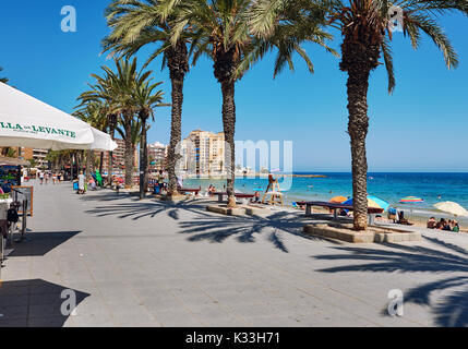 Torrevieja, Spanien - 10. Juli 2017: Promenade in der Nähe des Playa del Cura in Torrevieja Stadt im Sommer. Costa Blanca. Spanien Stockfoto