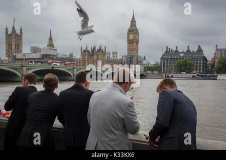 Wie eine Möwe fliegt Overhead, junge Männer tragen Anzüge aus über die Themse in die Houses of Parliament in Westminster, am 21. August 2017, in London, England. Stockfoto