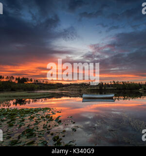 Loch Rusky ist ein kleines Süßwasser-Loch in der Nähe von Callander in den schottischen Highlands. Stockfoto