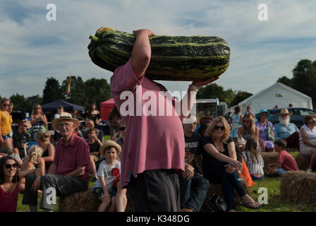 Village Show, ein riesiges Mark und anderes Gemüse werden gezeigt. Sie werden versteigert, das Geld aus der Auktion geht an den Kirchenfonds, 2017 2010er Cudham, Kent UK HOMER SYKES Stockfoto