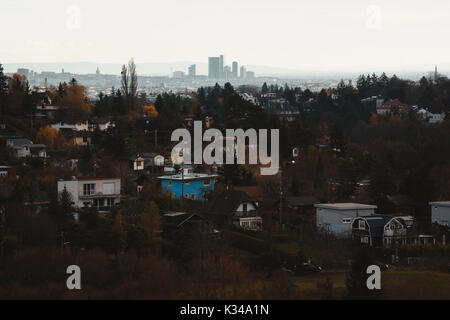 Stadt Wien von Kahlenberg Stockfoto