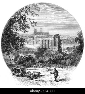 1870: Hirt und Herde auf canwick Hügel mit Blick auf die Kathedrale von Lincoln oder die Kathedrale Kirche der Seligen Jungfrau Maria von Lincoln, und manchmal St. Mary's Cathedral. Gebäude im gotischen Stil begann in 1088, und in mehreren Phasen während der mittelalterlichen Periode, Lincolnshire, England Stockfoto