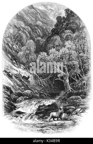 1870: Ein roter Hirsch Hirsch vor der Herde im Glen neigen, ein Glen im äußersten Norden von Perthshire, erstreckt sich 11 km von der Ortschaft Blair Atholl an den entfernten Wasserfälle von Tarf, Schottland Stockfoto