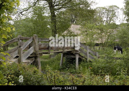 Hölzerne Brücke in Giethoorn Stockfoto