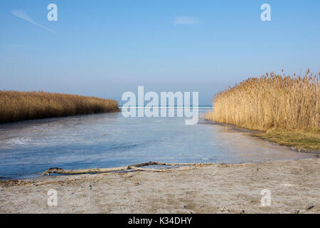 Balaton in Ungarn von Reed im Winter mit Schnee und Eis und ein blauer Himmel umgeben Stockfoto