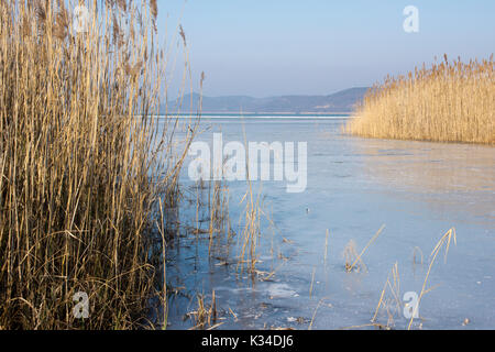 Balaton in Ungarn von Reed im Winter mit Schnee und Eis und ein blauer Himmel umgeben Stockfoto