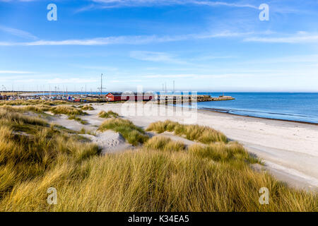 Strand in das kleine Dorf Aalbæk in der Nähe von Skagen im Bereich der Kattegat Stockfoto