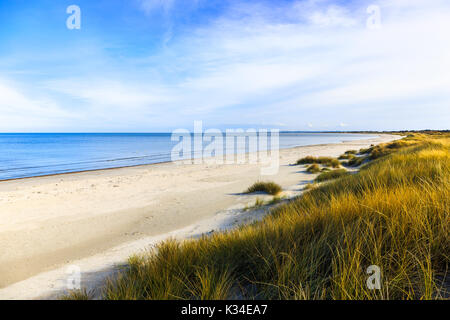 Strand in das kleine Dorf Aalbæk in der Nähe von Skagen im Bereich der Kattegat Stockfoto