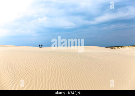 Der wandernde Düne Rabjerg Mile Stockfoto