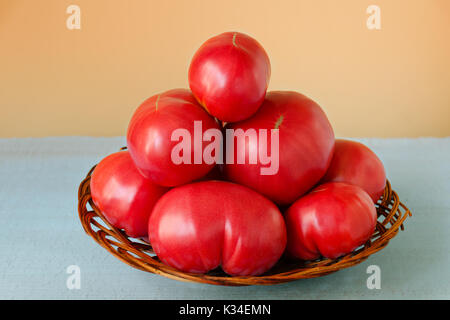 Sehr große Tomaten in einem hölzernen Korb auf einem farbigen Hintergrund Reif Stockfoto