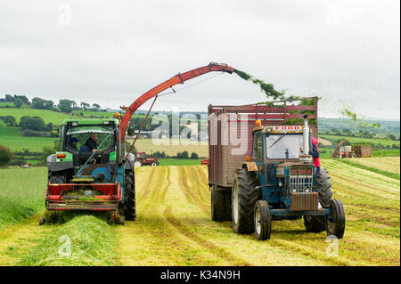 Oldtimer Traktoren und Maschinen geben einen silage Demonstration in Ballinascarthy, West Cork, Irland. Stockfoto