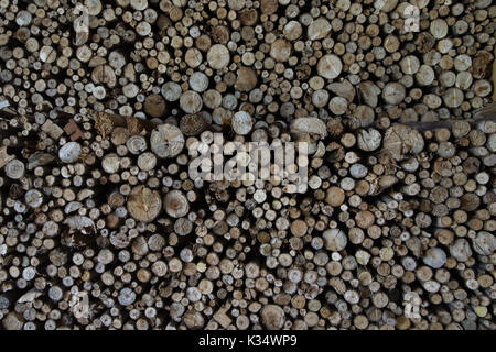 Holz abgerundeten Schnitt und für Kamin angeordnet Stockfoto