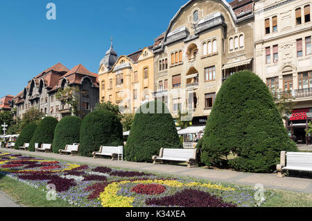 Sieg Platz (Piaţa Victoriei), Timisoara, Rumänien Stockfoto