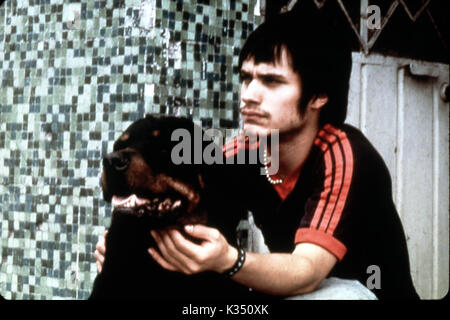 AMORES PERROS Gael Garcia Bernal Datum: 2000 Stockfoto