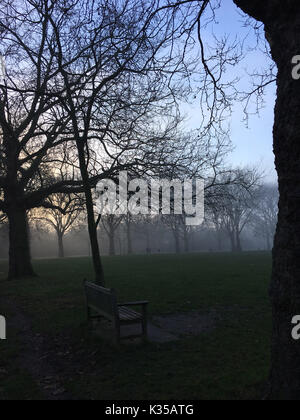 Foto muss Gutgeschrieben © Alpha Presse 066465 28/12/2016 Nebel in Highbury Felder nördlich von London. Stockfoto