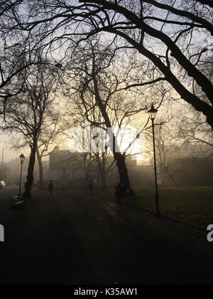 Foto muss Gutgeschrieben © Alpha Presse 066465 28/12/2016 Nebel in Highbury Felder nördlich von London. Stockfoto