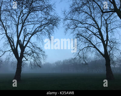 Foto muss Gutgeschrieben © Alpha Presse 066465 28/12/2016 Nebel in Highbury Felder nördlich von London. Stockfoto