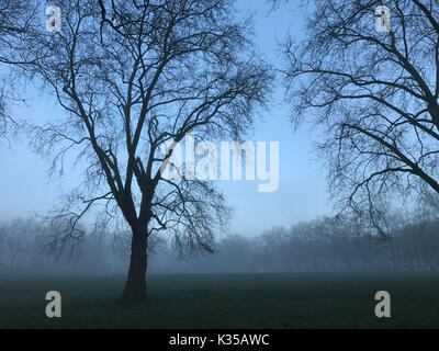 Foto muss Gutgeschrieben © Alpha Presse 066465 28/12/2016 Nebel in Highbury Felder nördlich von London. Stockfoto