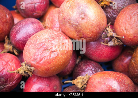 Rote Leidenschaft Obst lag auf der Theke der Street Food Markt auf der Insel Madeira, Portugal. Nahaufnahme mit selektiven Fokus Stockfoto