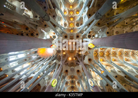 Innenansicht der Sagrada Familia Stockfoto